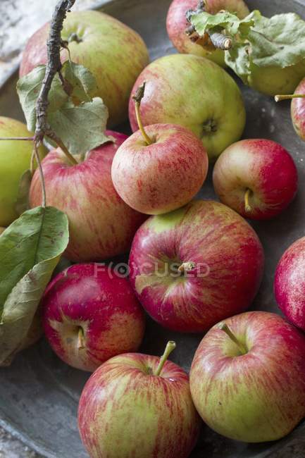 Fresh apples with twigs — Stock Photo
