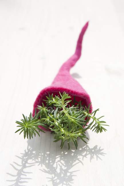 Closeup view of Prick-madam herb in a felt cornucopia — Stock Photo