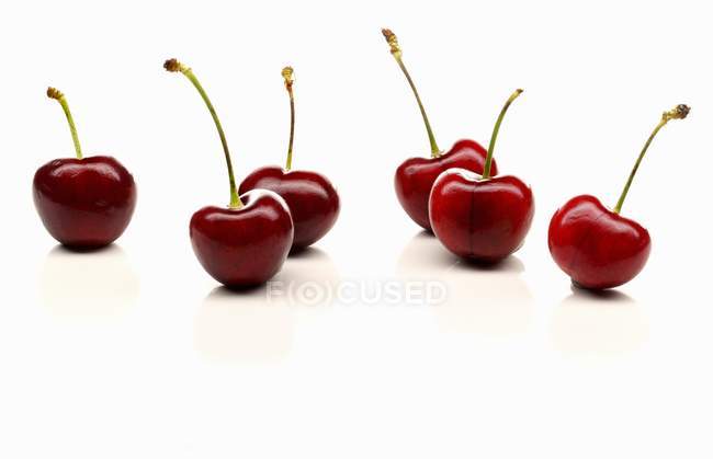 Fresh morello cherries — Stock Photo