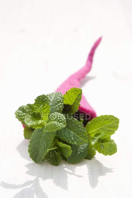 Mojito mint in felt cornucopia — Stock Photo