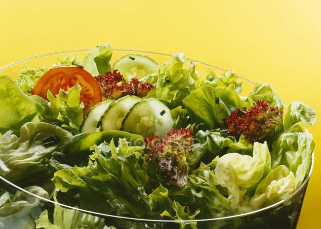 Bowl of mixed salad — Stock Photo