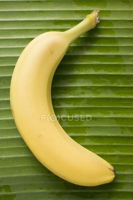 Plátano fresco maduro en la hoja - foto de stock