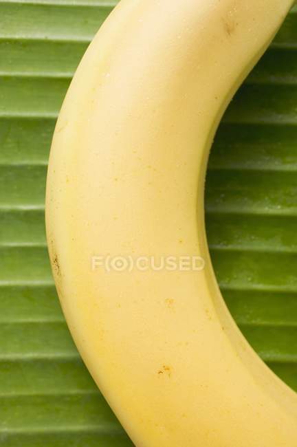 Banana madura fresca na folha — Fotografia de Stock