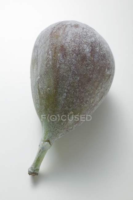 Figo verde fresco — Fotografia de Stock