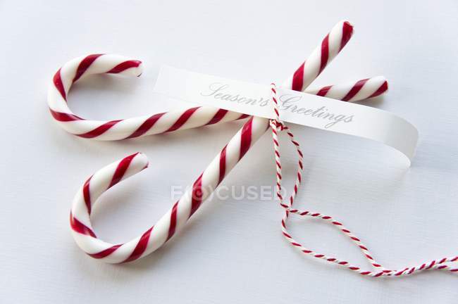 Candy canes with ribbon — Stock Photo