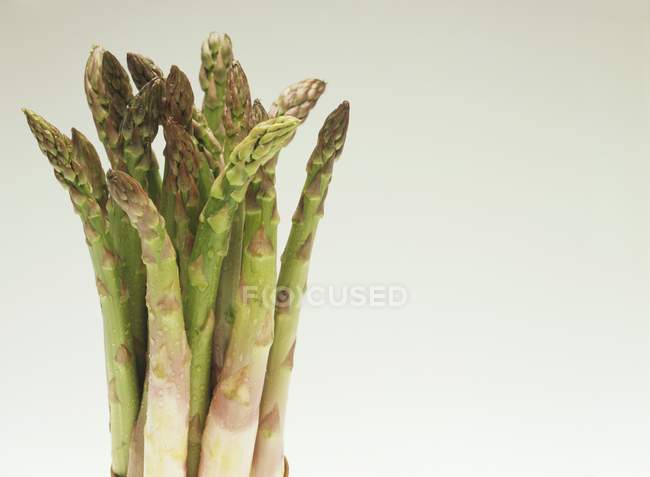 Asparagi verdi con gocce d'acqua — Foto stock