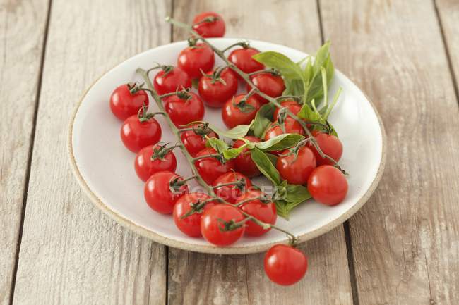 Pomodorini e basilico — Foto stock