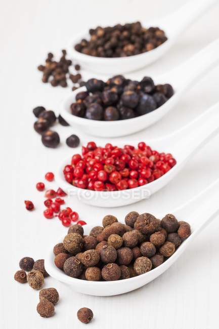 Allspice berries with pink pepper, juniper berries, black peppercorns on spoons — Stock Photo