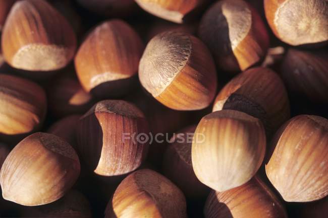 Heap of Hazelnuts over black — Stock Photo