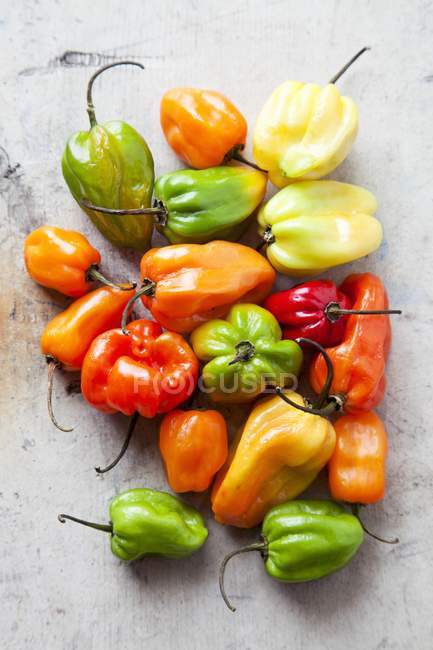 Fresh Habanero Peppers — Stock Photo