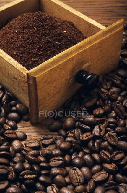 Granos y café recién molido - foto de stock