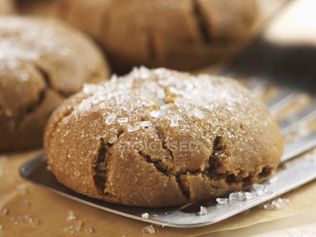 Molasses Cookie Sprinkled with Sugar — Stock Photo