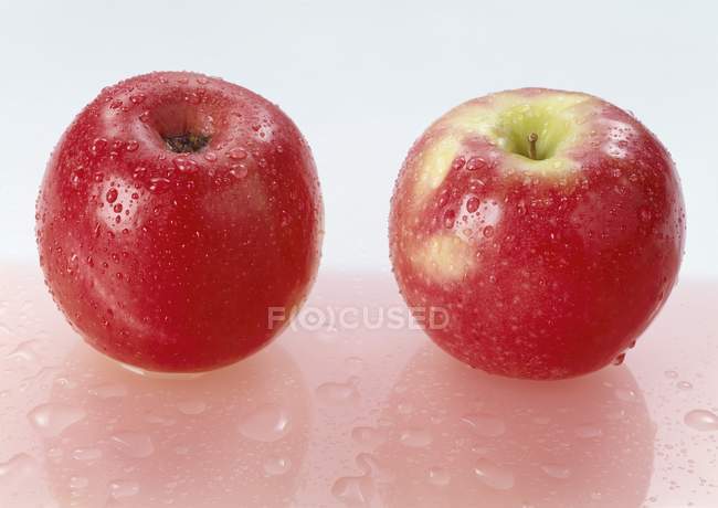 Dos manzanas rojas con gotas de agua - foto de stock