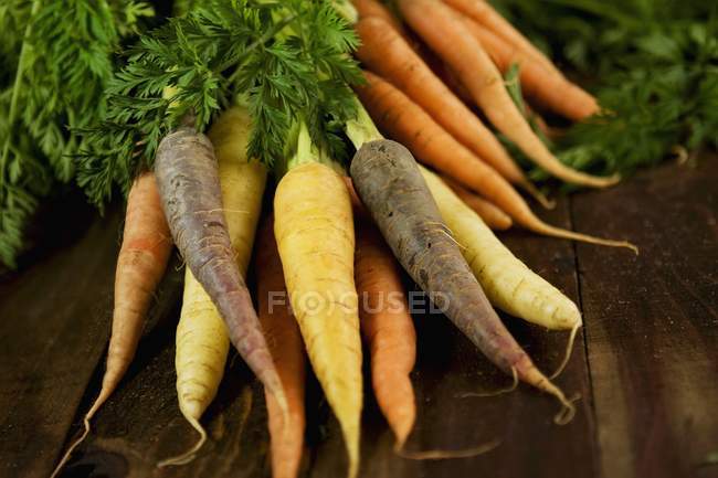 Fresh picked bunch of colorful carrots — Stock Photo