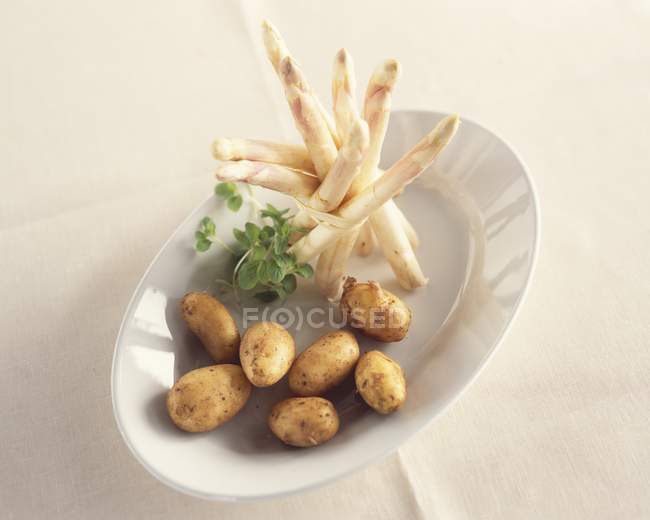Espárragos frescos y patatas - foto de stock