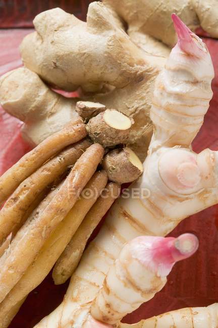 Jengibre con galangal y raíz de dedo - foto de stock