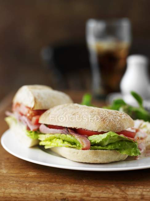 Sandwich pose sur la plaque — Photo de stock
