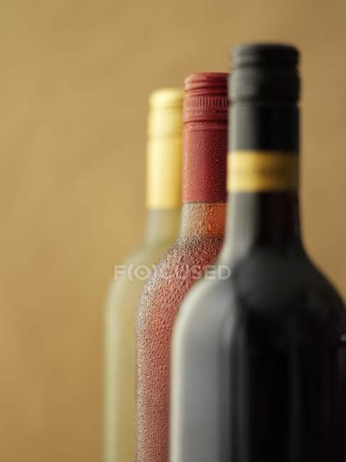 Bottles of red with rose and white wine — Stock Photo