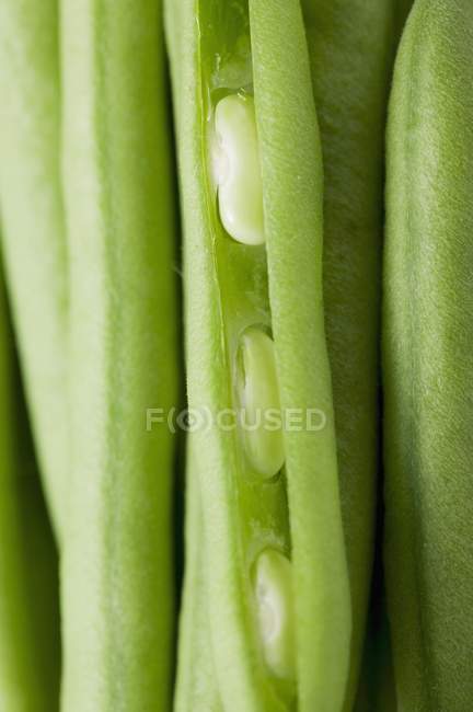 Fresh green beans — Stock Photo