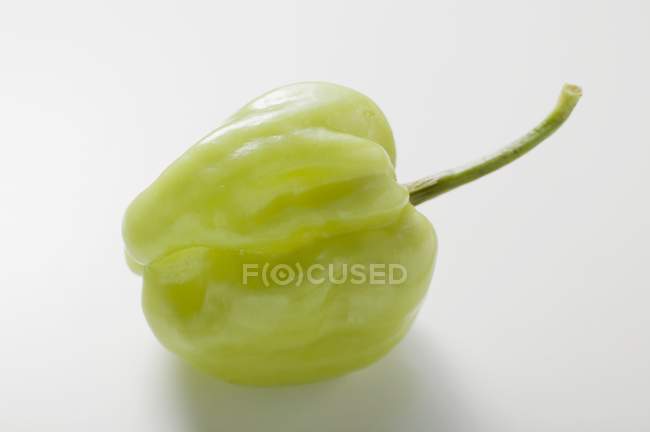 Habanero peperoncino verde — Foto stock