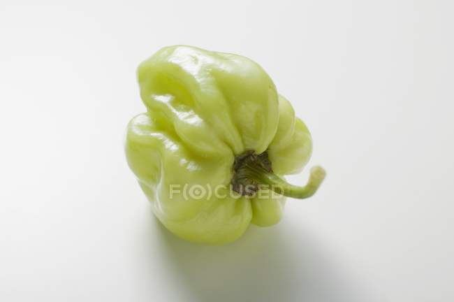 Зелений Habanero перець чилі — стокове фото