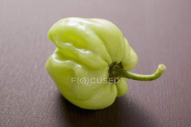 Chilli habanero verde — Fotografia de Stock