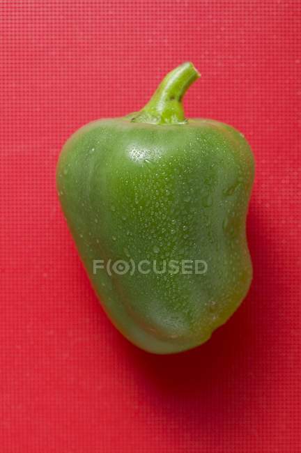 Green pepper with drops of water — Stock Photo