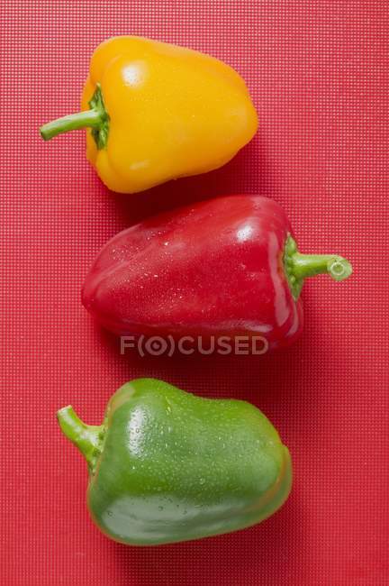 Colorful ripe fresh peppers — Stock Photo