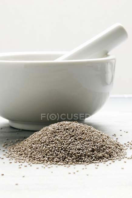 Organic Chia Seeds with Mortar — Stock Photo