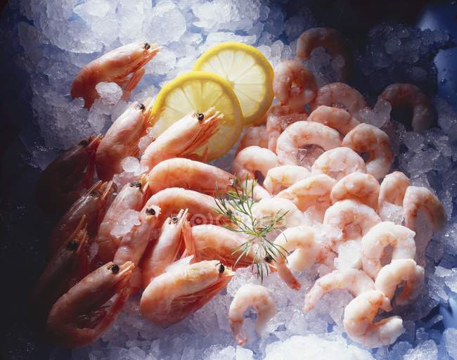 Boiled peeled and unpeeled prawns — Stock Photo