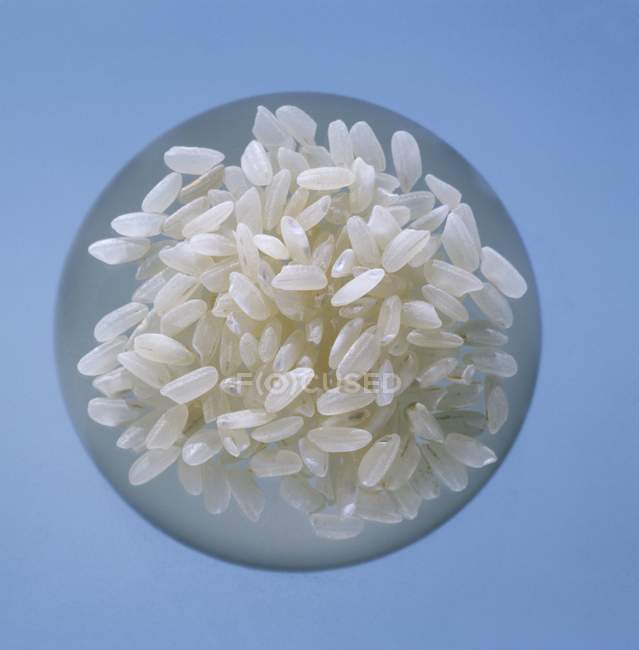 Riz risotto non cuit — Photo de stock
