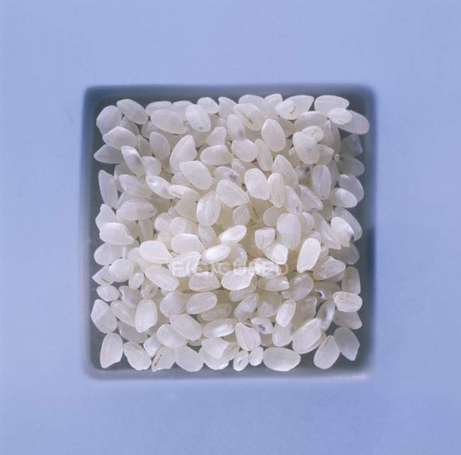 Uncooked short-grain rice — Stock Photo