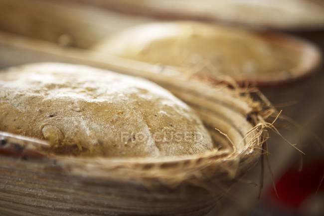 Unbaked bread in tins — Stock Photo