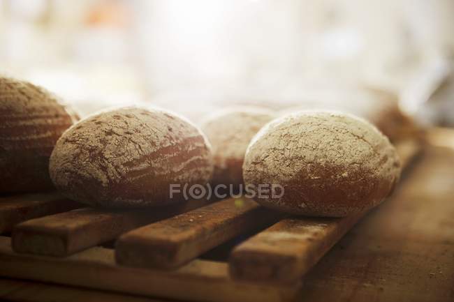 Bread rolls on rack — Stock Photo