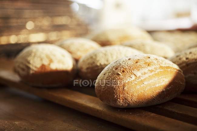 Хлебные рулоны на стойке — стоковое фото