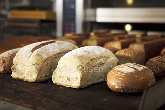 Vários tipos de pão — Fotografia de Stock