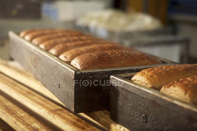 Loaves of bread in crate — Stock Photo