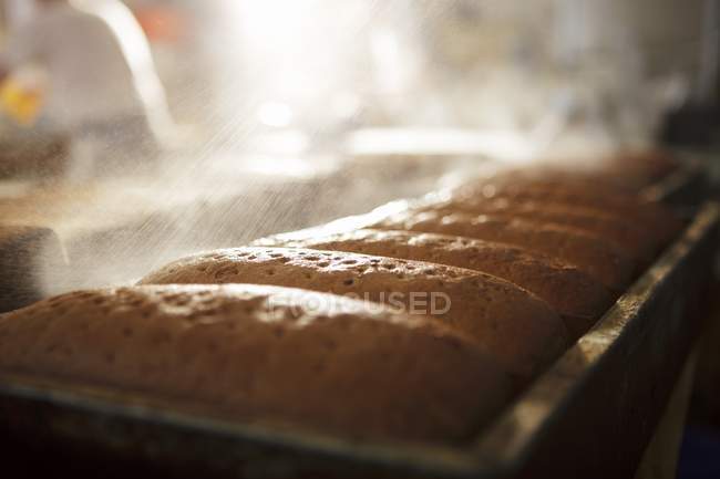 Pani di pane spruzzati — Foto stock