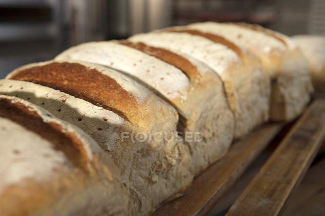 Pane appena cotto — Foto stock