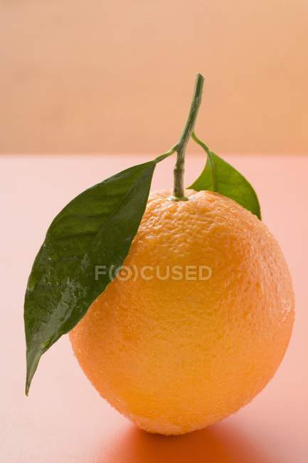 Arancione con gambo e foglie — Foto stock