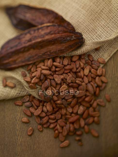 Vainas de cacao y granos de cacao - foto de stock