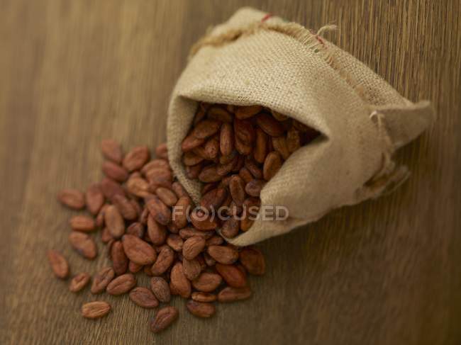 Cocoa beans in jute sack — Stock Photo