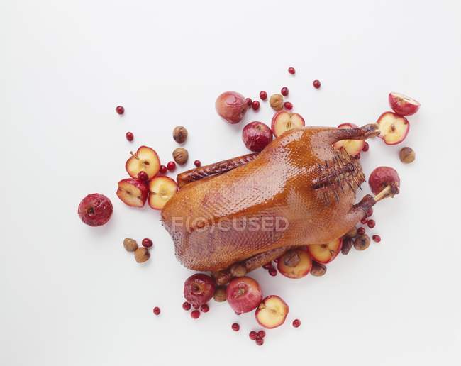 Christmas goose with apples — Stock Photo