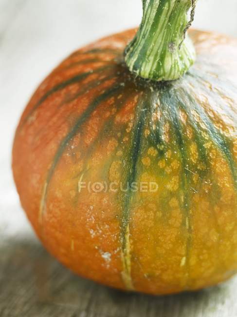 Abóbora laranja madura — Fotografia de Stock