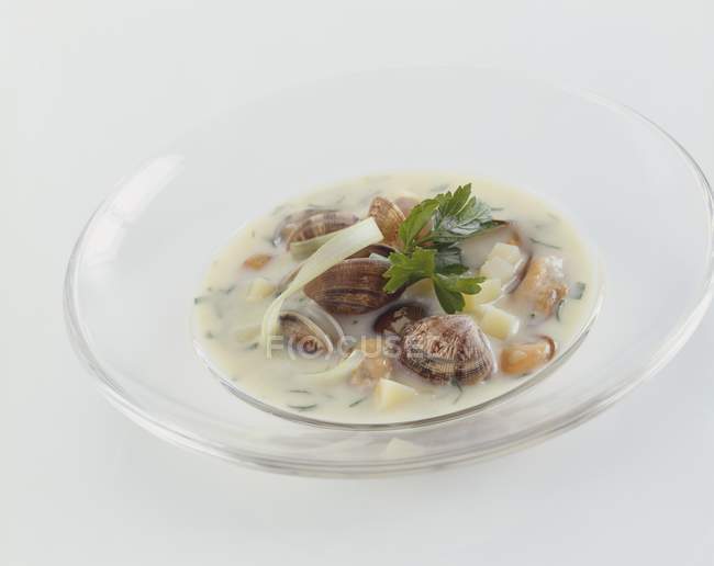 Раковины и картофельный суп в стеклянной тарелке на белом фоне — стоковое фото
