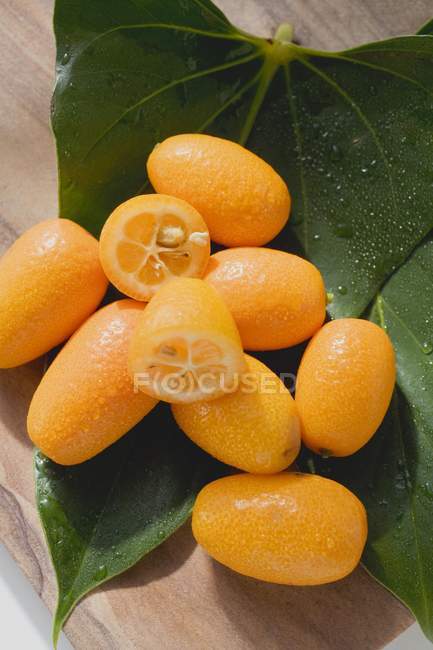 Kumquats frescos en la hoja - foto de stock