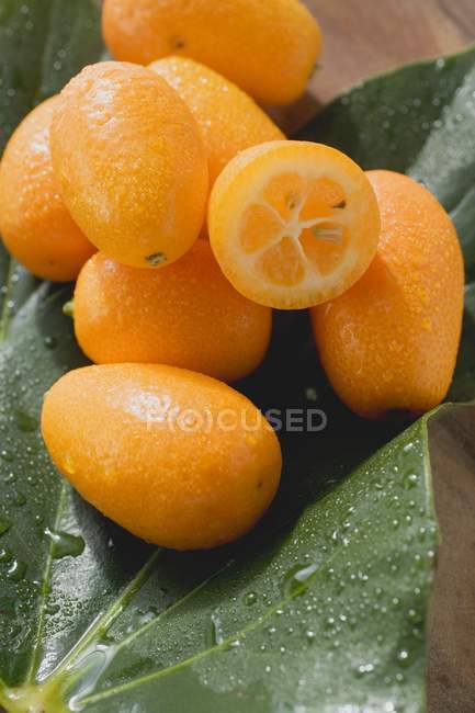 Fresh kumquats on leaf — Stock Photo