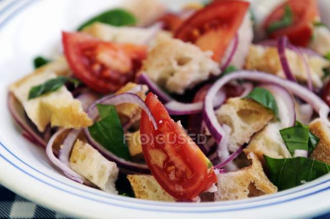 Итальянский хлебный салат — стоковое фото