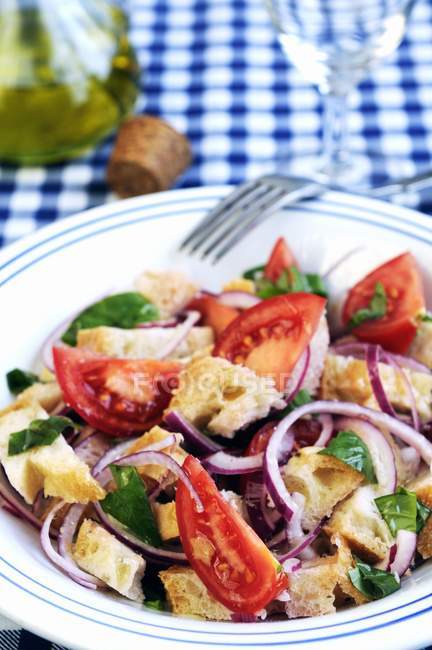Итальянский хлебный салат — стоковое фото