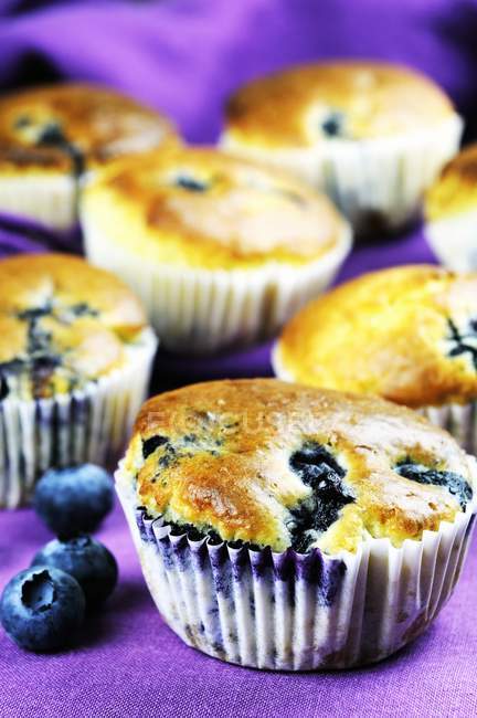 Muffin ai mirtilli su tovaglia — Foto stock